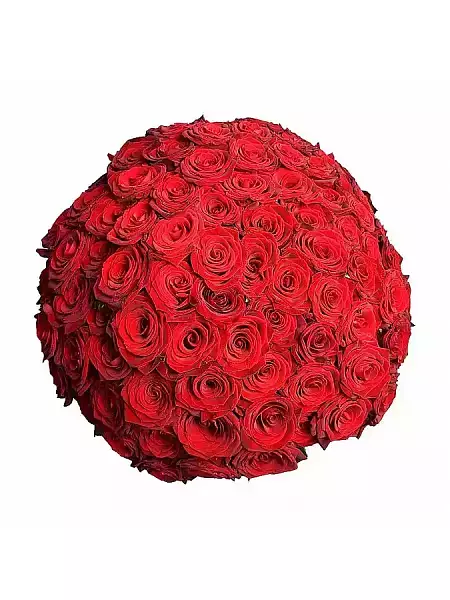 100 красных роз Наоми 70 см