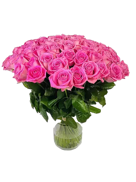 50 pink roses