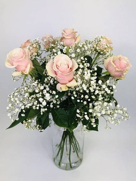 Pink Roses and Gypsophila