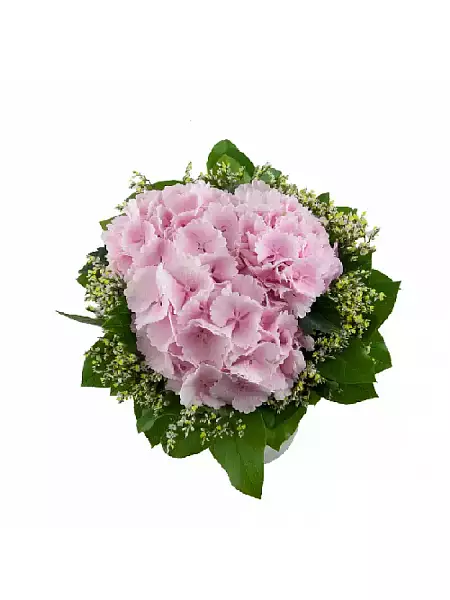 Flower bouquet Hydrangea - Limonium