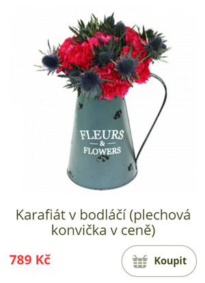 Karafiát v bodláčí