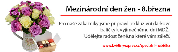 Mezinárodní den žen - 8. března