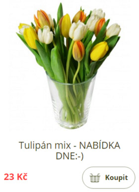 Tulipán mix