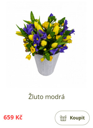 Žluto modrá kombinace jarních květin