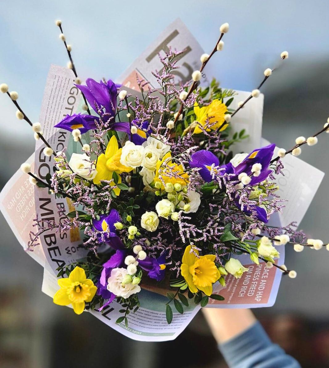 Jarní kočičky detail (1)