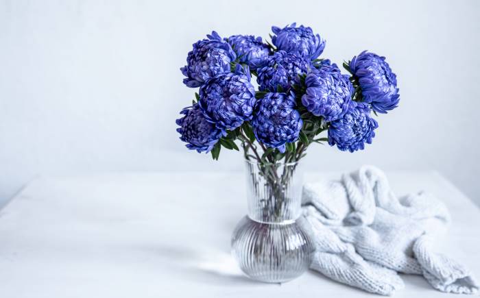 modré květiny