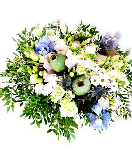 Delphinium and poppy
