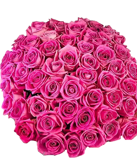100 růžových růží Adél