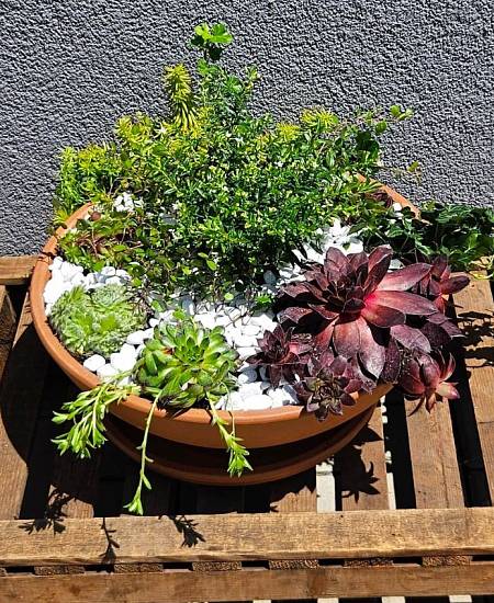 Year-Round Succulent Planter for Grave