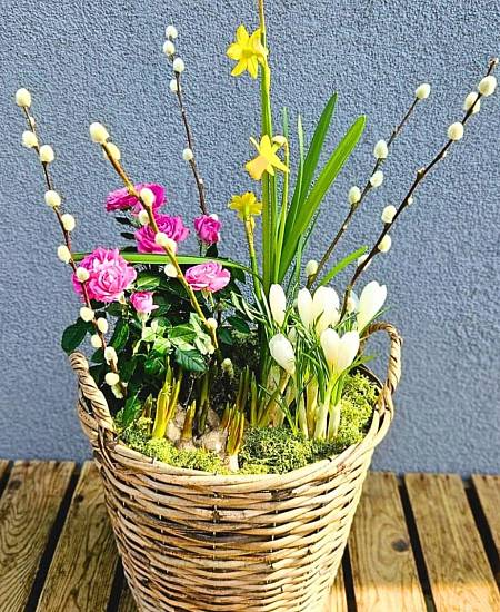 Jarní koš s kočičkami