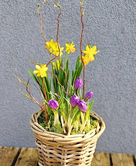 Jarní květináč Vrba