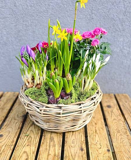 Jarní květinové aranžmá