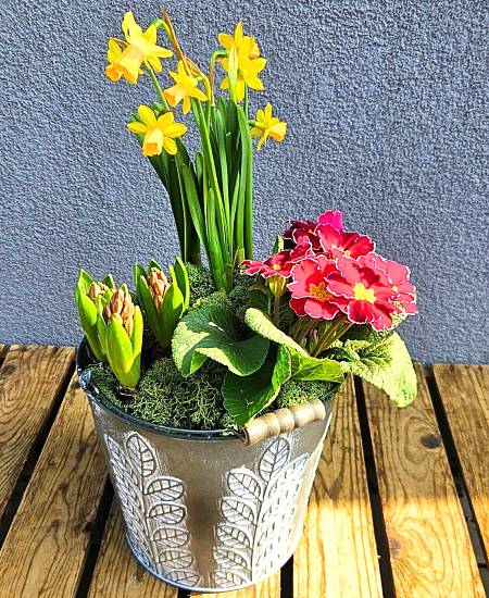 Spring planter