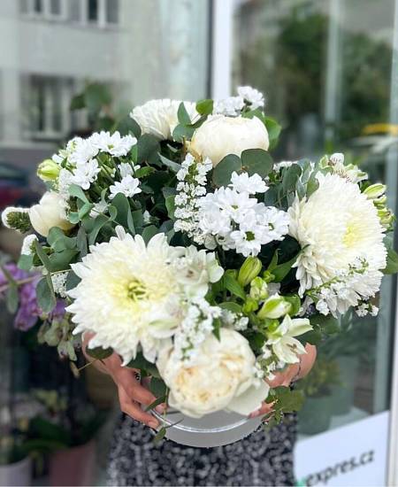 Květinový box Crema