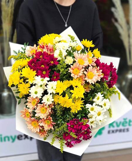 Sladěné Chryzantémy