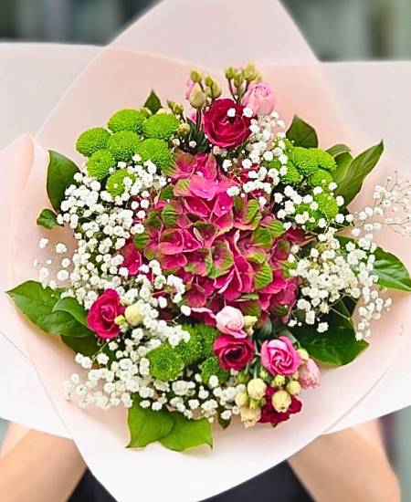 Elegantní Hortenzie