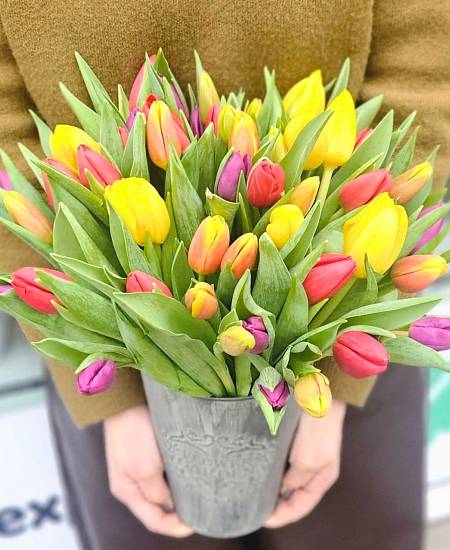 Mix 50 Tulips