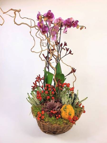 Podzimní aranžmá