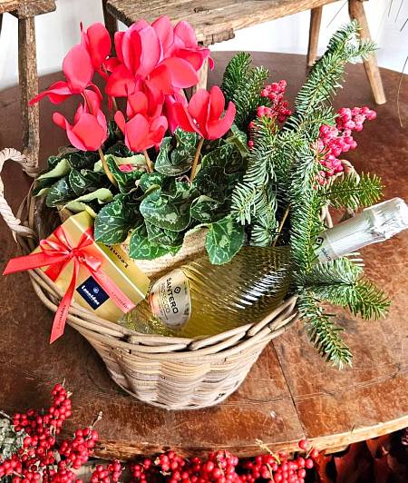 Cyclamen Gift Basket