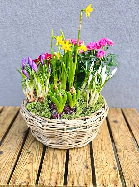 Jarní květinové aranžmá