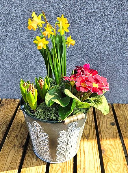 Jarní sázený květináč