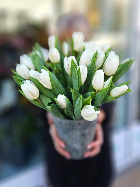 Tulips sky