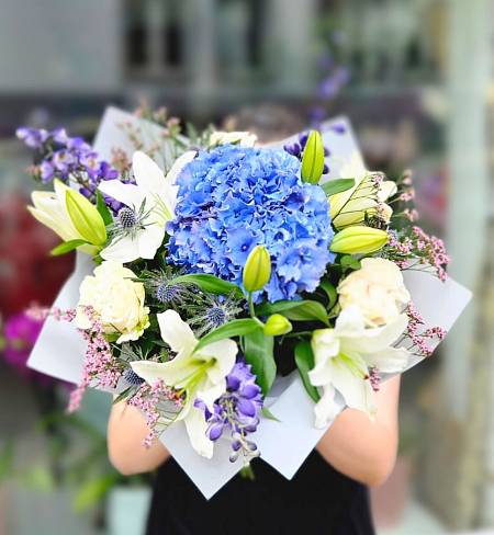 Summer blue hydrangea