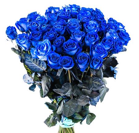 Blue Rose Velvet Blue