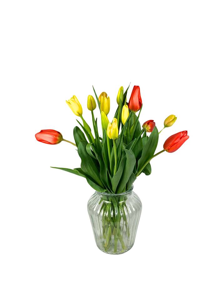 https://imgcdn.kvetinyexpres.cz/Fagm8vse3id9e_s3k7lFssuY9jw=/0x0/http://varkala/cache/675/900/image/Francouzske-tulipany-XL.jpeg
